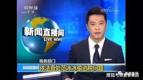 明星逃税案例,揭秘娱乐圈税务乱象